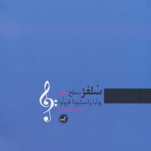 سلفژ سطح یکم
