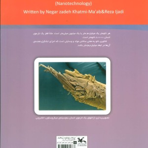 دنیای نو در ابعاد نانو