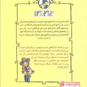 دزدی در آبشار نیاگارا