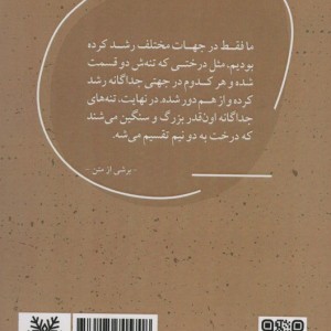 غروب ماه کارولینا