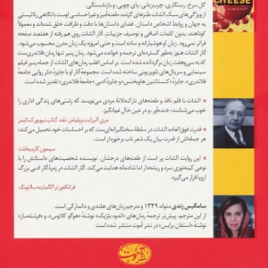 پنیر هلندی - ویللم الشات