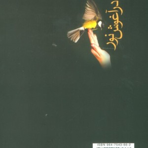 کتاب در آغوش نور