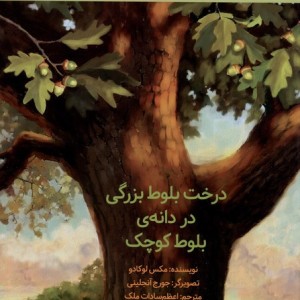 درخت بلوط بزرگی در دانه ی بلوط کوچک کانون پرورش