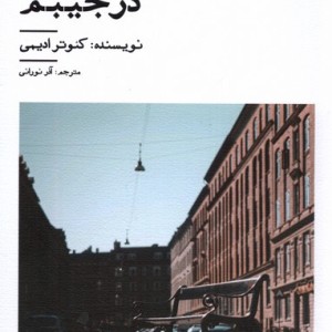 سنگ هایی در جیبم نیستان