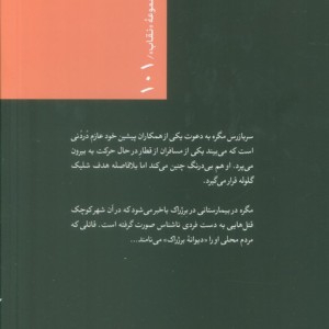 سربازرس مگره و دیوانه ی برژراک