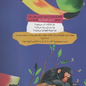 چون و چرا نشر پرتقال
