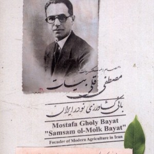 مصطفی قلی بیات بانی کشاوزی نودرایران اتاق آبی - سعید نفیسی و...، علی اکبر سیاسی