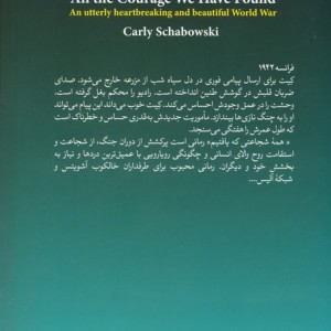 همه ی شجاعتی که یافتم