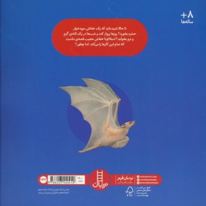 استلالونا خفاش عجیب