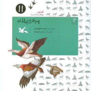 پرنده بی لانه نشر کانون پرورش فکری کودکان و نوجوانان