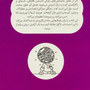 کتاب رام کردن ببرهای درون نردبان