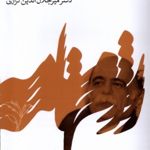 بارزم همبزم گویا