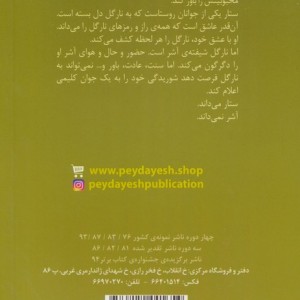 آسمان ارغوانی بود