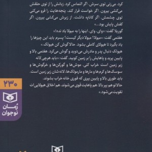 روز جهانی سوپ دو احمق