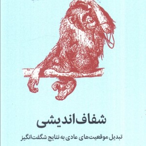 شفاف اندیشی