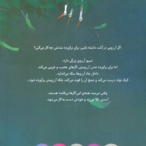 آرزوی شیپو