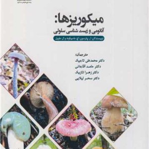 میکوریزها آناتومی و زیست شناسی سلولی