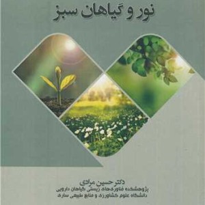 نور و گیاهان سبز