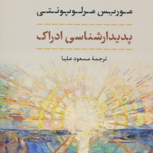 پدیدار شناسی ادراک