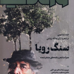 مجله وزن دنیا 32،سنگ رویا رسانه ایران