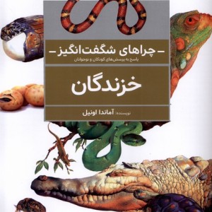 چراهای شگفت انگیز خزندگان محراب قلم