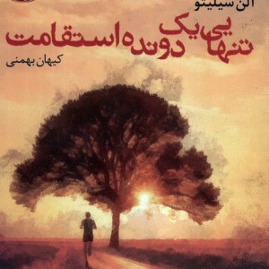 تنهایی یک دونده ی استقامت - آلن سیلیتو