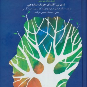 ذهن آگاهی پذیرش و روان شناسی مثبت