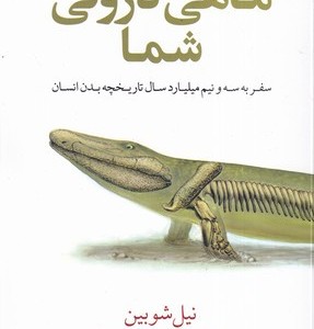 ماهی درونی شما سفر به 3 5 میلیارد سال تاریخچه بدن انسان