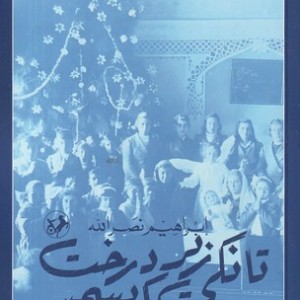 تانکی زیر درخت کریسمس