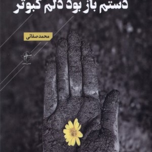 دستم باز بود دلم کبوتر