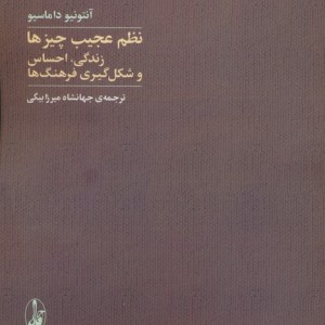 نظم عجیب چیز ها زندگی احساس و شکل گیری فرهنگ ها