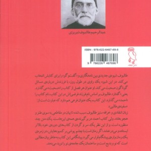 طالبوف و سفینه ی طالبی اش