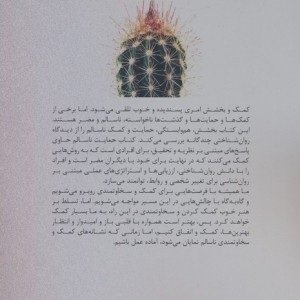 حمایت ناسالم