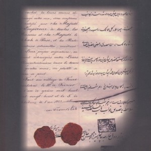 میمون سرگردان