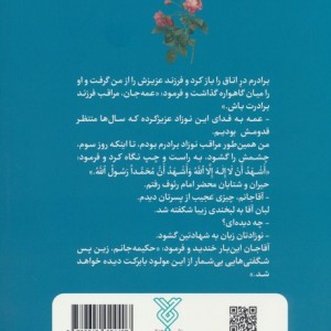 ابن الرضا علیه السلام