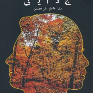 پدیده طلاق و جدایی