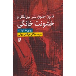 قانون حقوق بشر بین الملل و خشونت خانگی