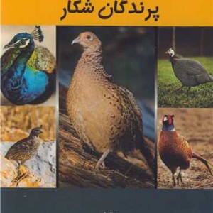 کتاب آناتومی فیزیولوژی و کالبد گشایی پرندگان شکار
