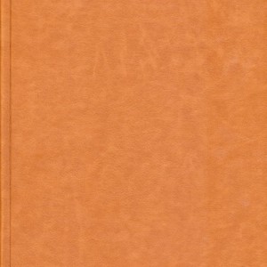 کتاب دیوان حافظ سه لتیگلاسهچرم