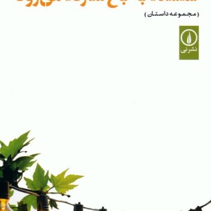 گمشده به باغ شازده می رود