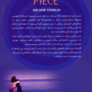 تکه های گم شده
