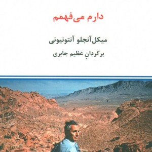 دارم می فهمم