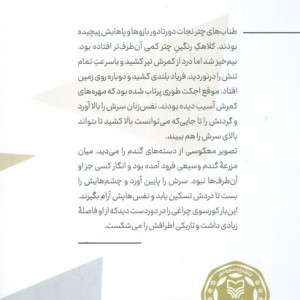 پرواز در نگاه پروانه نشر سوره مهر