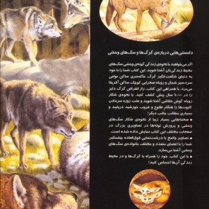 دانستنی هایی درباره ی گرگ ها وسگ وحشی