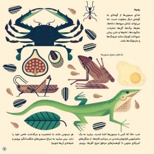 دنیای رنگارنگ میمون ها