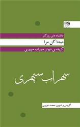 سهراب سپهری صدا کن مرا پالتویی روزگار