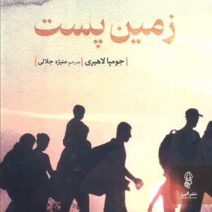 زمین پست