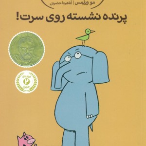فیلی و فیگی 3 پرنده نشسته روی سرت پرتقال