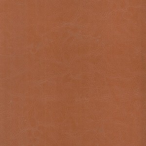 کتاب مثنوی معنوی ترمو