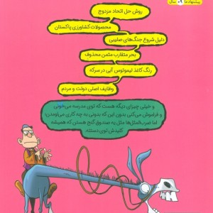 شتر دیدی ندیدی حتی خر و گربه
